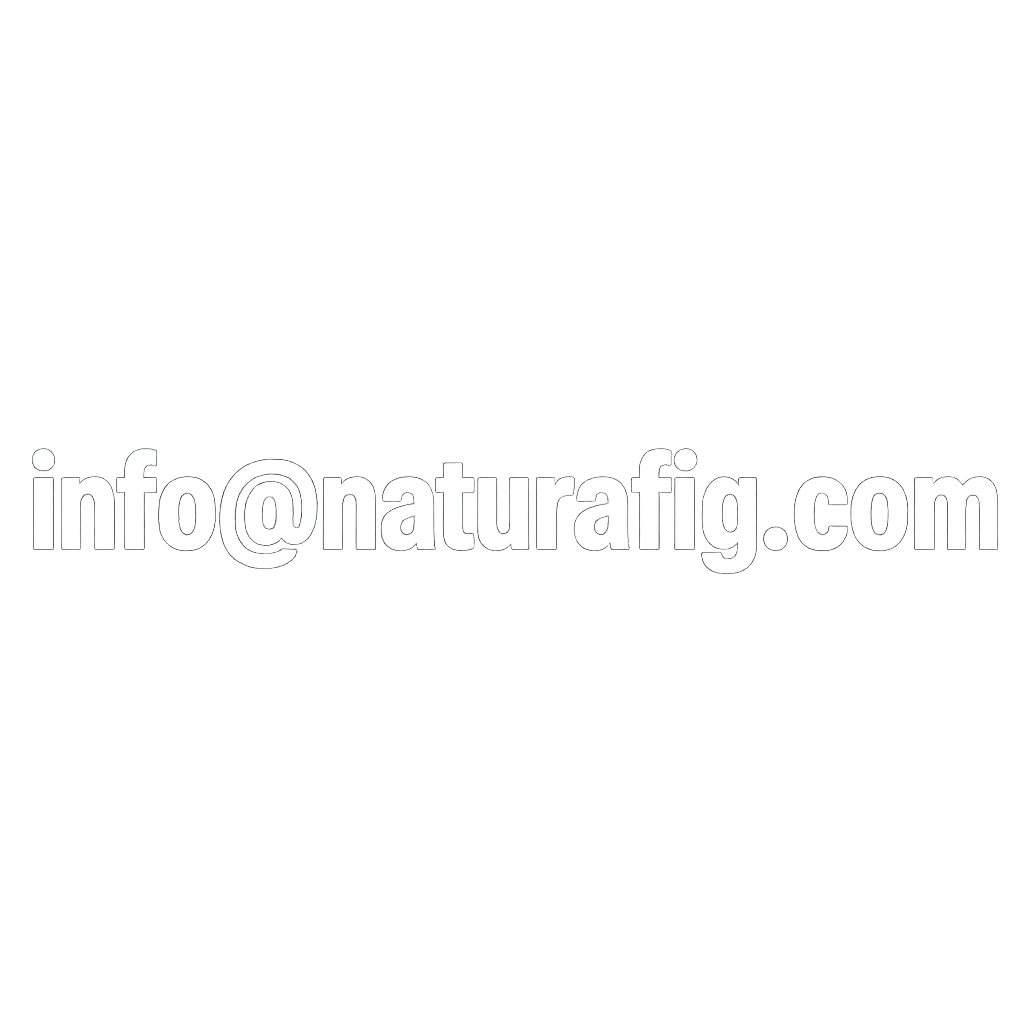 Email Address